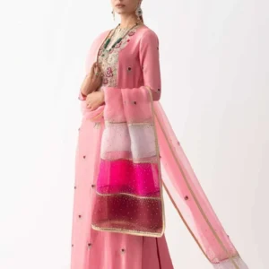 Exquisite Hand-Embroidered Party Wear Dress